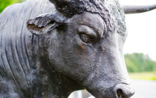 Three upcoming Bitcoin bull market catalysts to watch out for